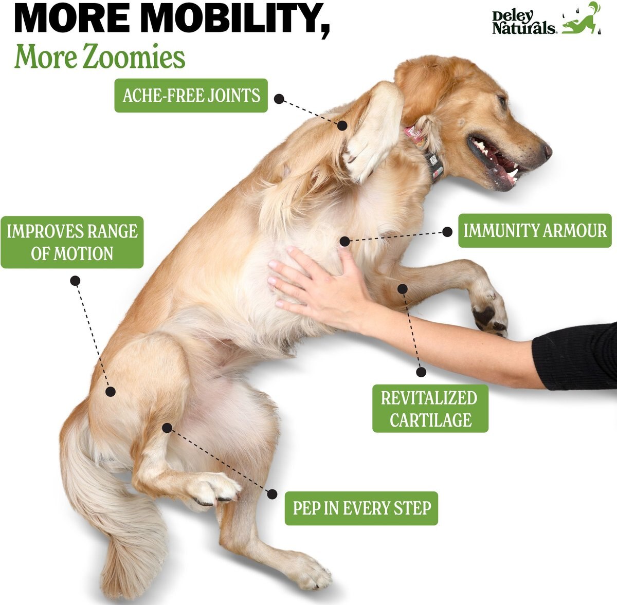 DELEY NATURALS Advanced Hip & Joint Chicken Flavor Dog Supplement, 17