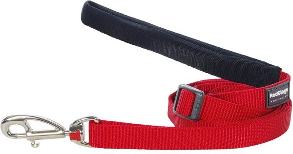 Red Dingo Classic Nylon Dog Leash, Red, Small: 6-ft long, 5/8-in wide slide 1 of 8