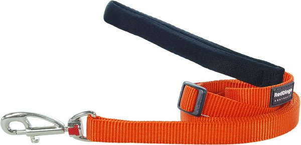 Red Dingo Classic Nylon Dog Leash, Orange, Medium: 6-ft long, 4/5-in wide slide 1 of 8