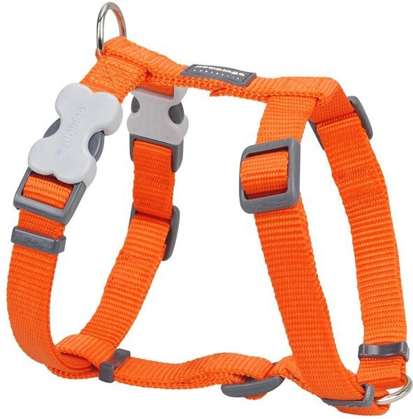Red Dingo Classic Nylon Back Clip Dog Harness, Orange, Small: 14.2 to 21.3-in chest slide 1 of 9