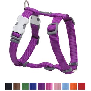 Red Dingo Classic Nylon Back Clip Dog Harness, Purple, Small: 14.2 to 21.3-in chest