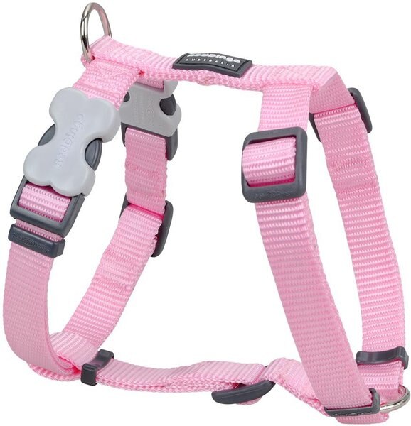 Red Dingo Classic Nylon Back Clip Dog Harness, Pink, Small: 14.2 to 21.3-in chest slide 1 of 9