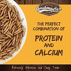 GRUBMASTER Dried Black Soldier Fly Larvae Bird Treat, 2-lb bag slide 2 of 6