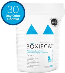 Boxiecat Premium Unscented Clumping Clay Cat Litter, 16-lb bag