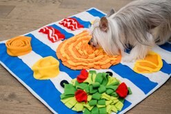 Injoya Breakfast Cat & Dog Snuffle Mat, Blue, Large slide 2 of 3
