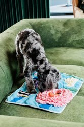 Injoya Under The Sea Cat & Dog Snuffle Mat, Blue, Medium slide 2 of 2