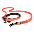 EzyDog Road Runner Dog Leash, Orange