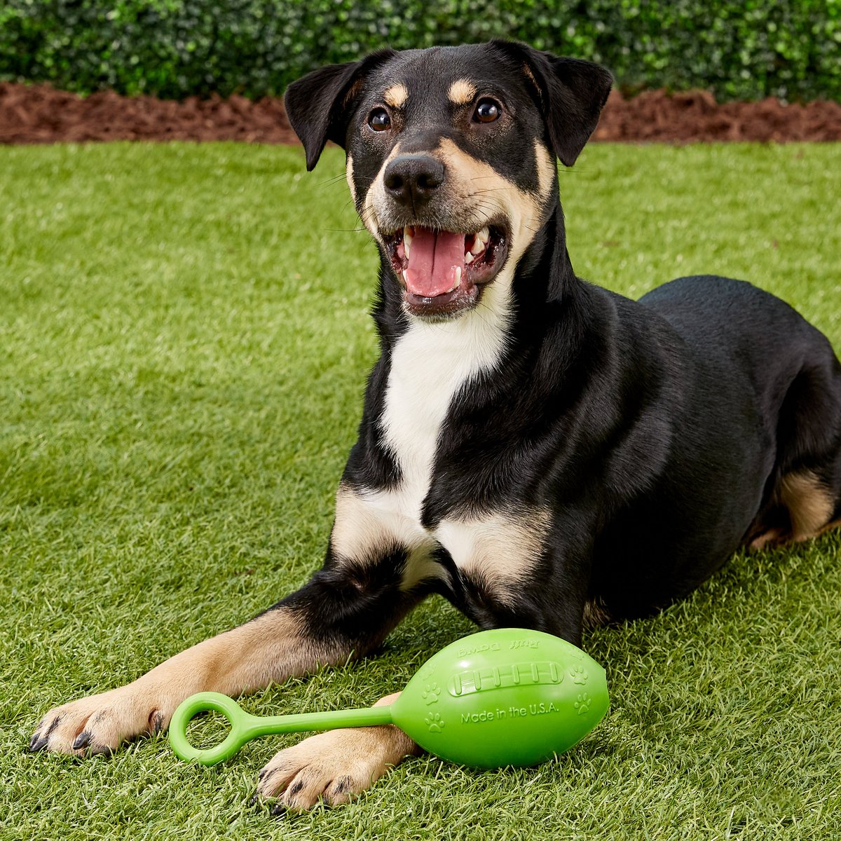 RUFF DAWG Football Flyer Dog Fetch Toy, Color Varies
