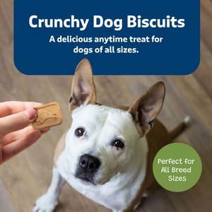 10 Best Dog Treats for Huskies 2024 According to Reviews Chewy