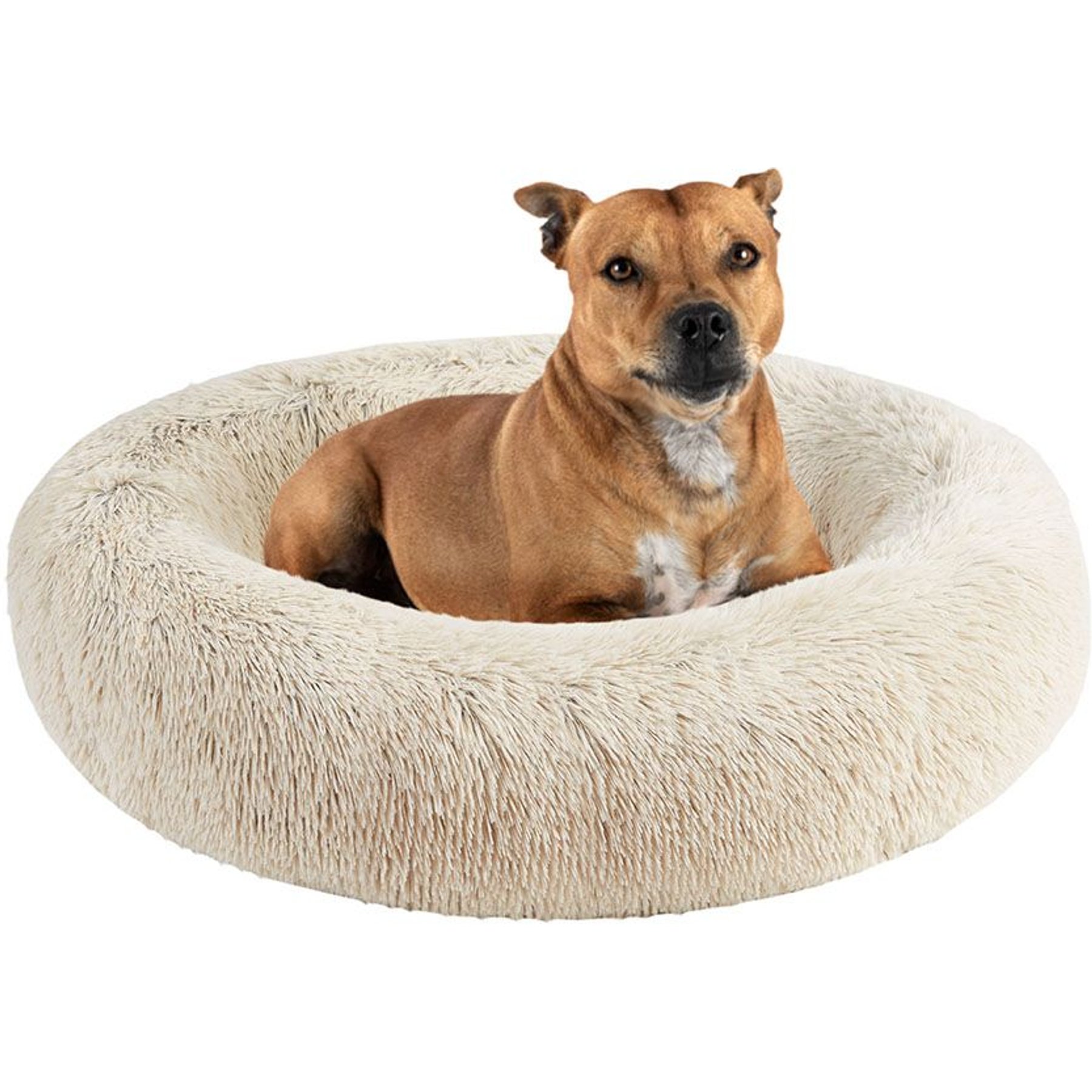 Max & Marlow Luxurious Oval High Bolstered Cuddler Pet Bed, Teal