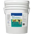 Sav-A-Caf Electrolytes Plus Multi Species Supplement, 25-lb pail