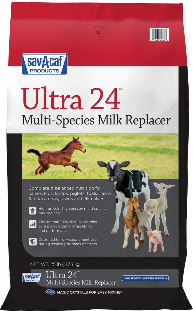 Ultra 24 milk 2025 replacer for dogs