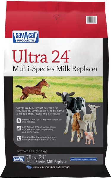 Sav A Caf Ultra 24 Multi Species Milk Replacer 25 Lb Bag 6019