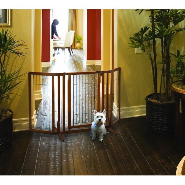 RICHELL Freestanding Gate for Dogs & Cats, Autumn Matte, Large