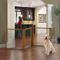 Show in main carousel: Richell 4-Panel Convertible Elite Gate for Dogs & Cats, H4, 35.8-in slide 4 of 6