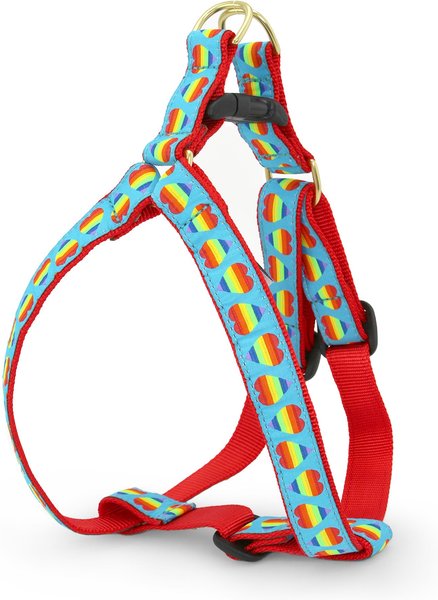 Up country outlet dog harness