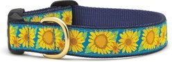 Up Country Sunflower Dog Collar, Blue & Yellow, X-Small