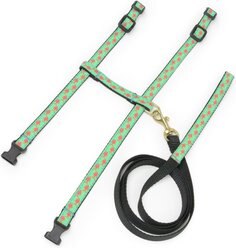 Up Country Tropical Fish Cat Harnes Set, Teal & Black