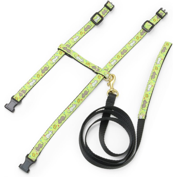 Up Country New Stars Dog Leash
