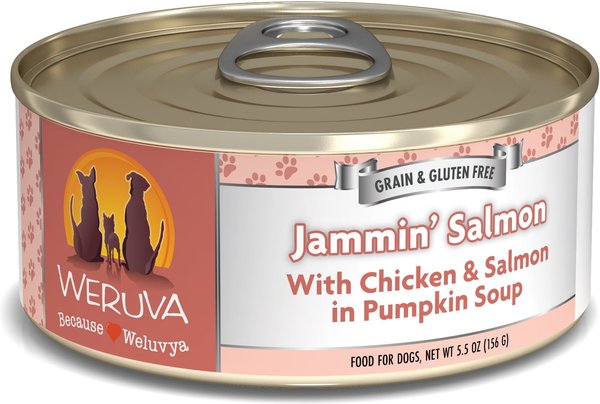 Weruva Jammin' Salmon with Chicken & Salmon in Pumpkin Soup Grain-Free Canned Dog Food, 5.5-oz, case of 24 slide 1 of 10