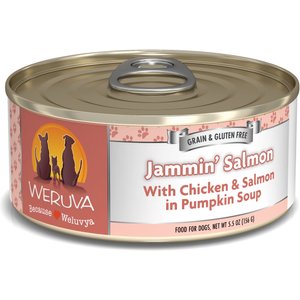 Weruva Jammin' Salmon with Chicken & Salmon in Pumpkin Soup Grain-Free Canned Dog Food, 5.5-oz, case of 24