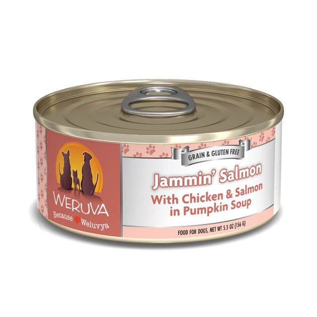 WERUVA Jammin' Salmon with Chicken & Salmon in Pumpkin Soup GrainFree