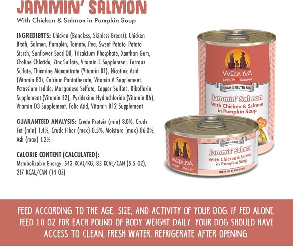 Weruva Caloric Harmony Venison & Salmon Meal Dinner with Pumpkin Dry Dog Food
