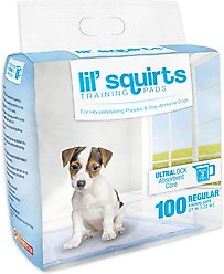 Lil' Squirts Dog Training Pads, 100 count