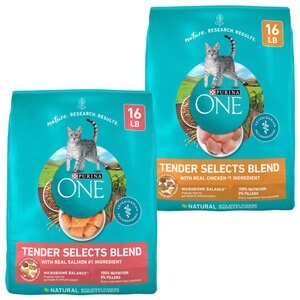 Purina ONE Tender Selects Blend Real Chicken + Real Salmon Dry Cat Food