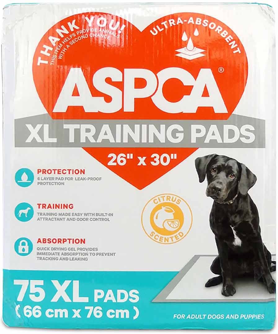 ASPCA Dog Training Pads, 26 x 30in, 75 count, Fresh Scented