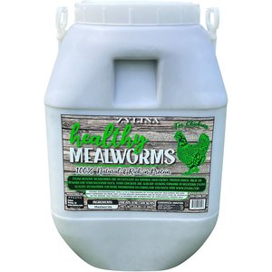 Zylina Healthy Mealworms Bird Treat, 20-lb jar