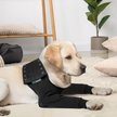 10 Migliori Suitical Recovery Sleeve Cane In Italia