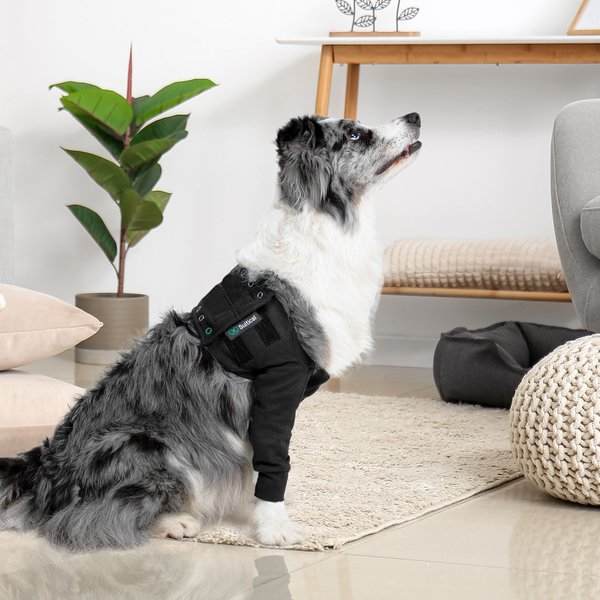 Suitical Recovery Sleeve Per Cani - XL, Nero, Protezione Zampe - Foto 10
