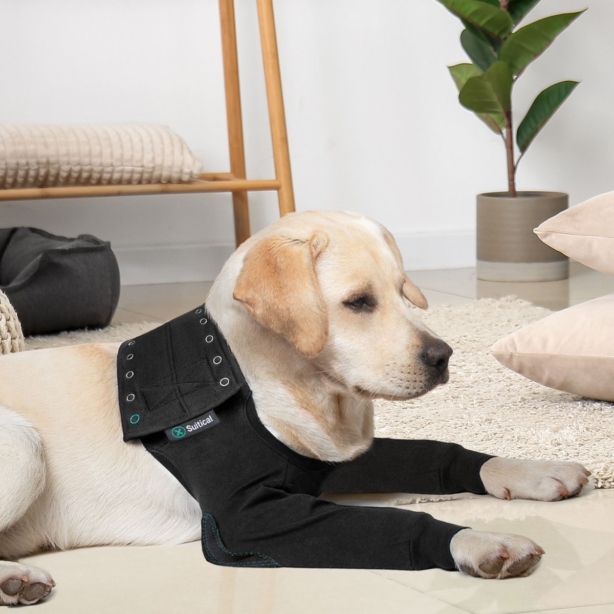 Suitical Recovery Double Sleeves Dog Apparel, Black