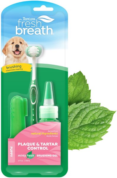 TropiClean Fresh Breath Oral Care Puppy Dental Kit slide 1 of 10