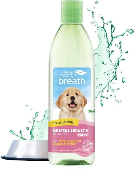 TropiClean Fresh Breath Dental Health Solution Puppy Dental Water Additive, 16-oz bottle slide 1 of 9