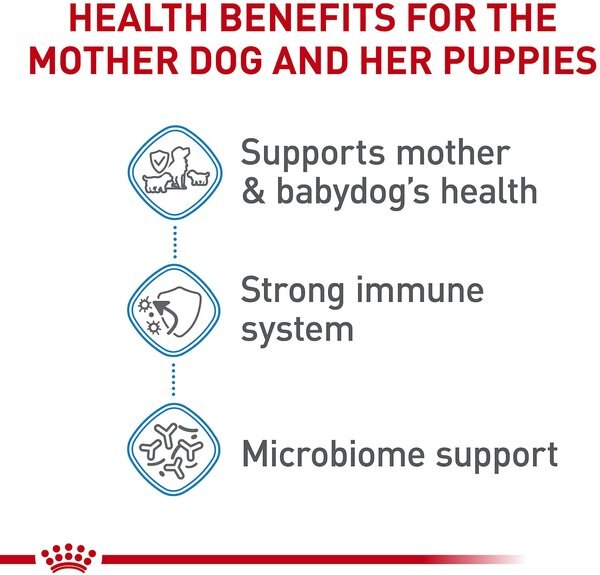 Royal Canin Size Health Nutrition Small Starter Mother & Babydog Dry Dog Food