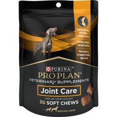 3 Ways Supplements Can Improve Your Dog s Joints Digestion and Health PetMD