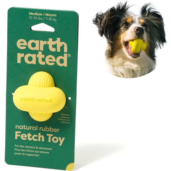 JW PET Holee Roller X Extreme Dog Toy