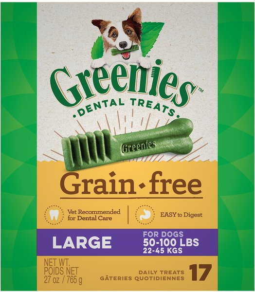 greenies dental chews for large dogs