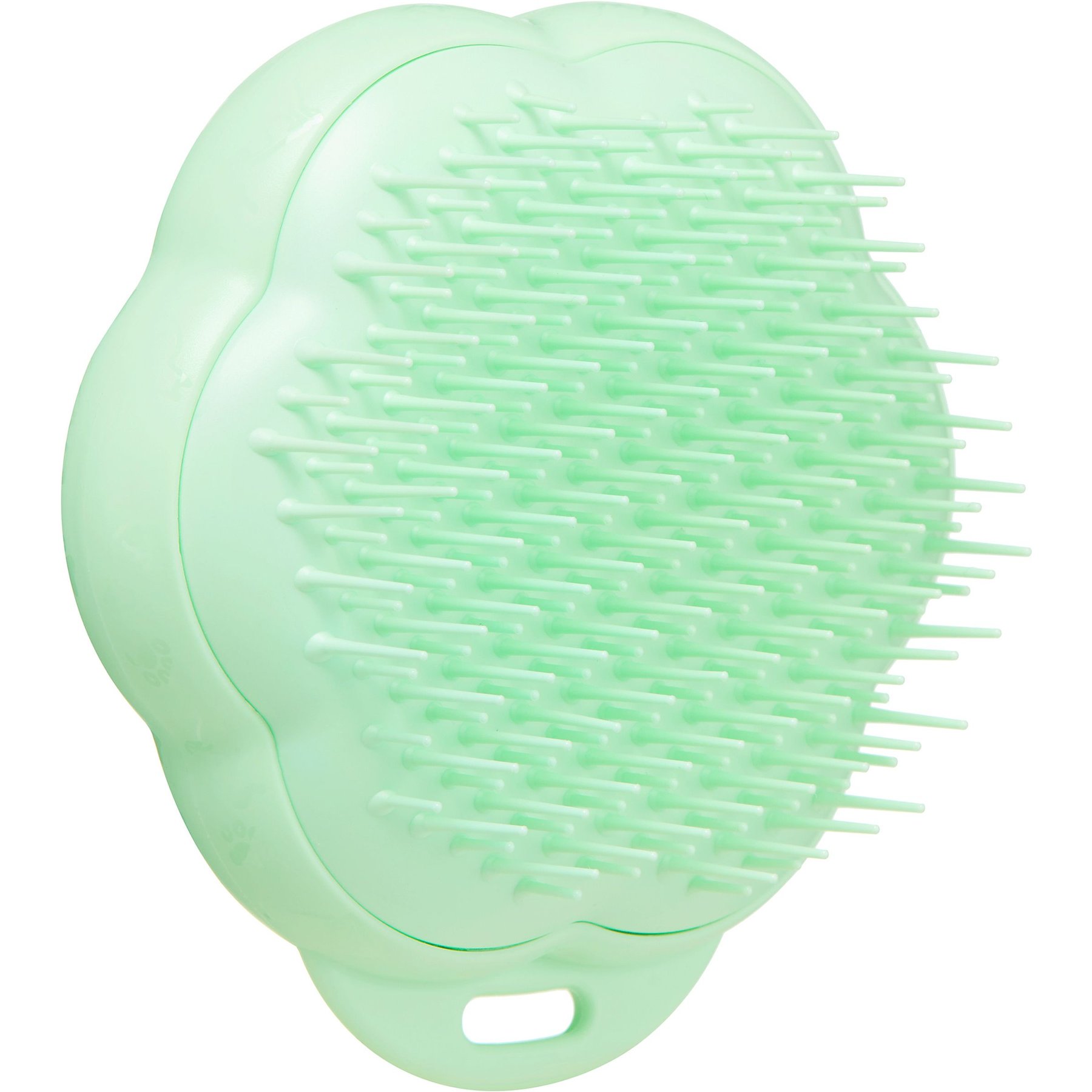 PET TEEZER Cat Grooming Brush, Green - Chewy.com