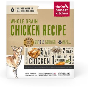 what is the healthiest natural dog food