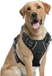 Vila Dog Harness, Large