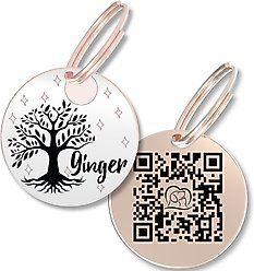 PawFurEver Personalized Engraved with QR Code Dog & Cat Tag, Rose Gold, Willow