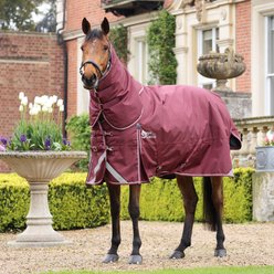 Shires Equestrian Products StormCheeta Original 300g Horse Turnout Blanket Set, Maroon, 75-in