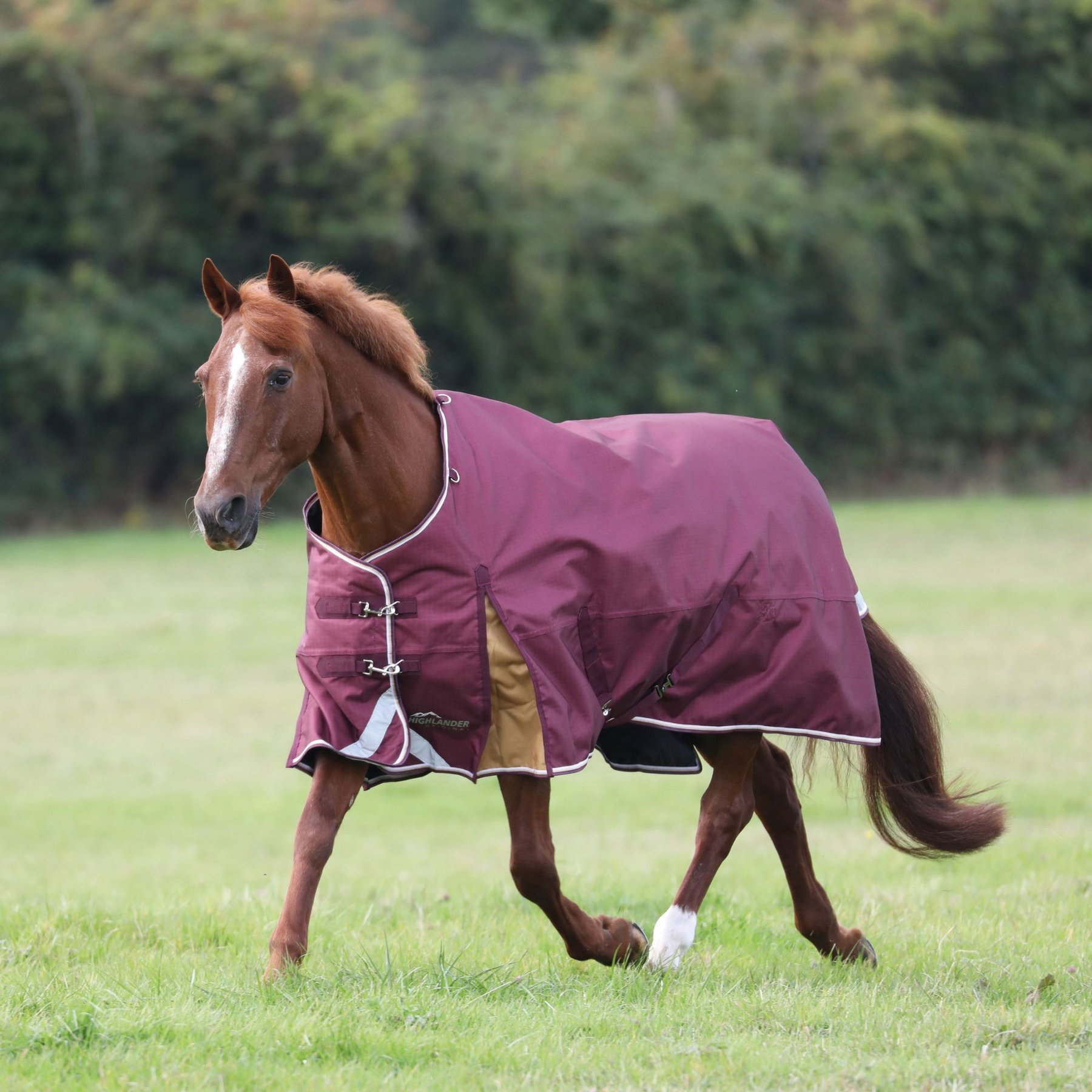 Shires Equestrian Products Highlander Plus 100 Standard Neck Horse Turnout Blanket, Maroon, 84-in