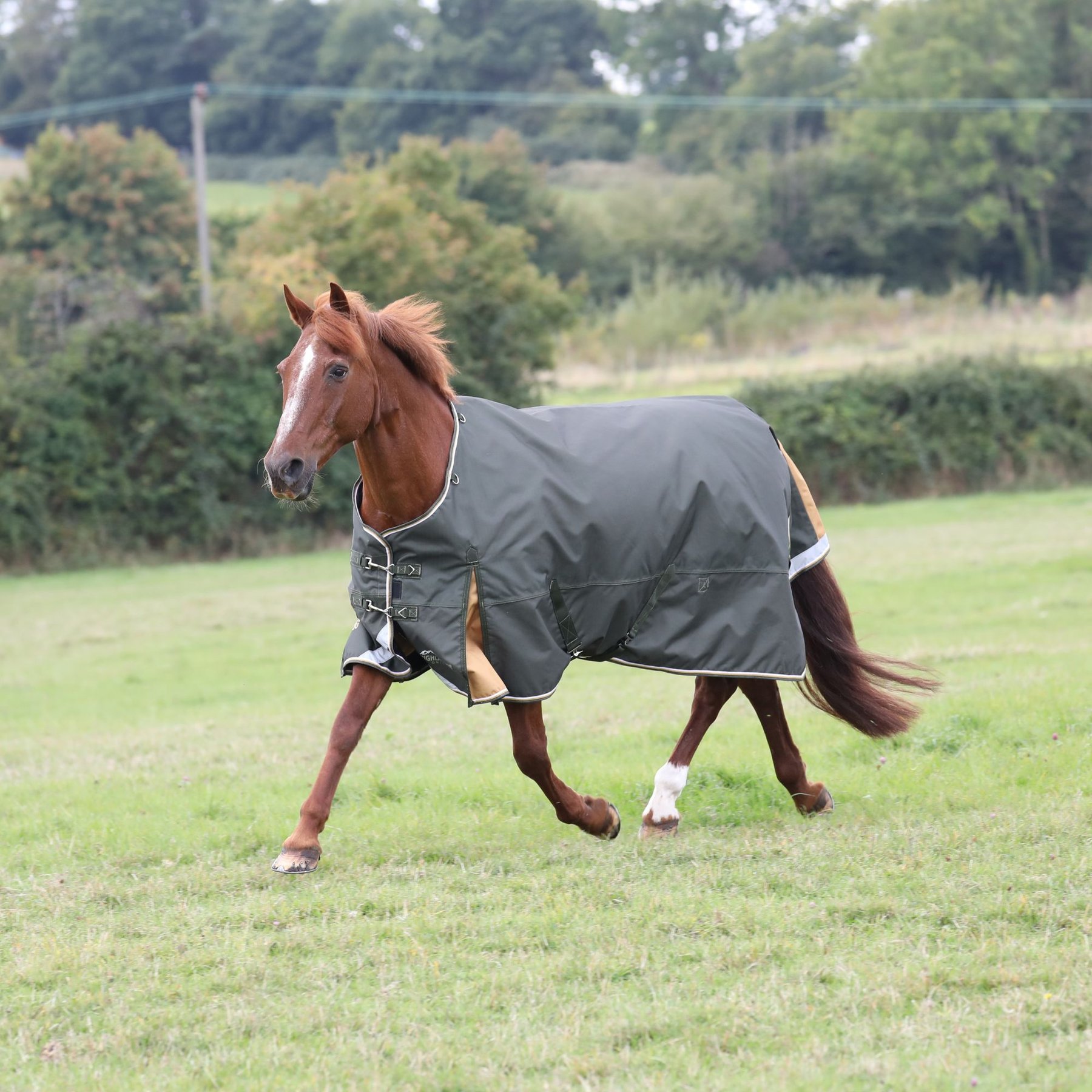 Shires Equestrian Products Highlander Plus Lite Standard Neck Horse Turnout Sheet, Green, 81-in