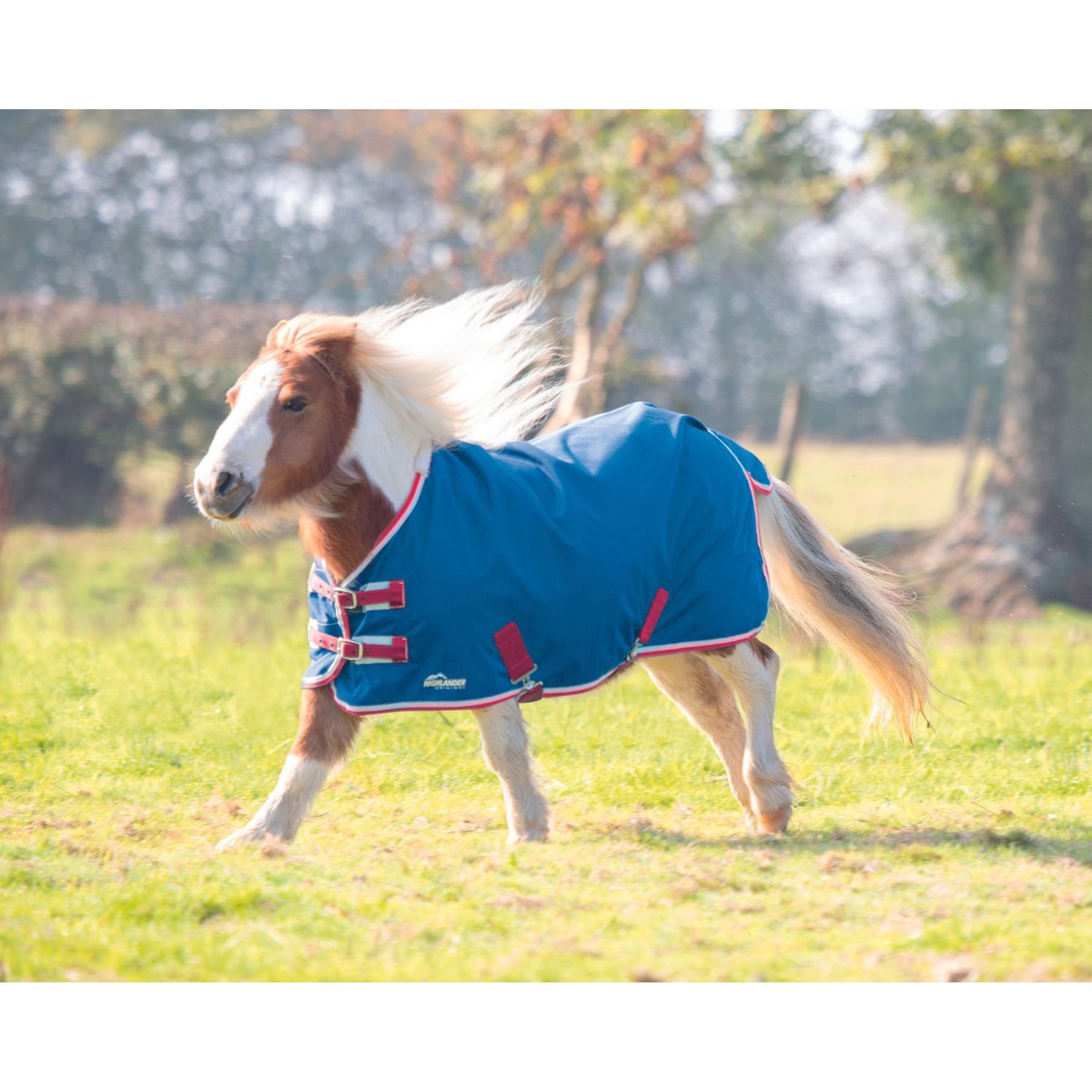 Shires Equestrian Products Highlander Original Lite Mini Horse Turnout Blanket, Teal, 45-in