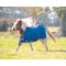 Show in main carousel: Shires Equestrian Products Highlander Original Lite Mini Horse Turnout Blanket, Teal, 45-in slide 1 of 1