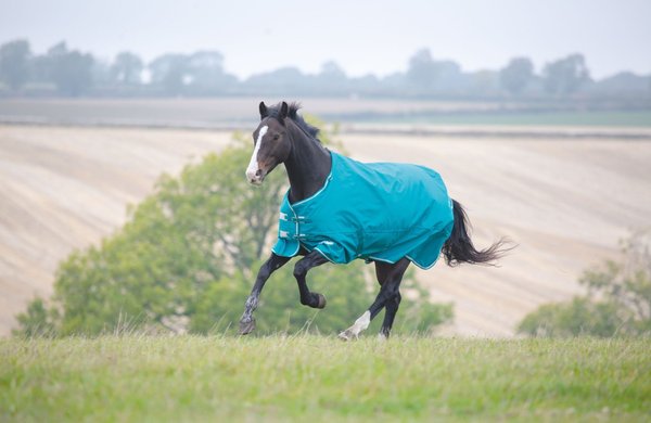 Shires Equestrian Products Tempest Plus 1200D 200G Turnout Horse Tack